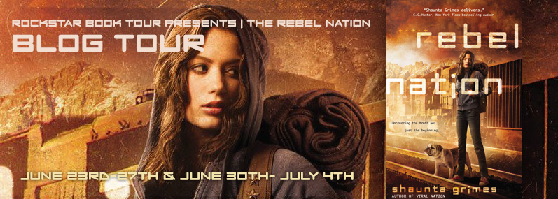 rebel nation banner