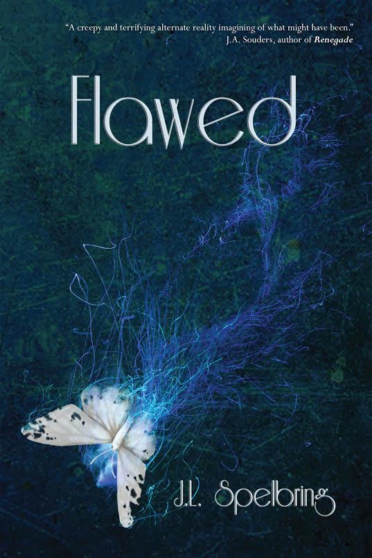 flawed book cover